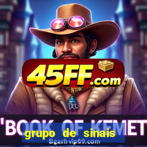 grupo de sinais trader telegram